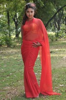 Mona Saree Photos